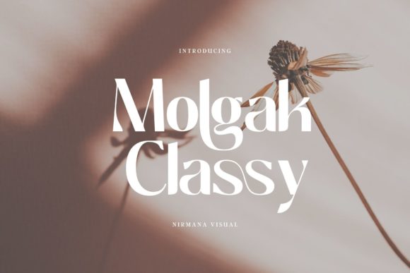 Download Molgak Classy - Classy Collection